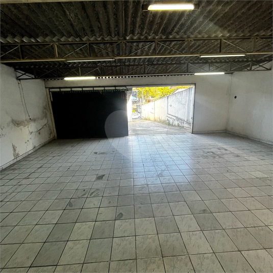 Foto REO1111825