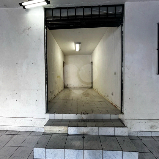 Foto REO1111825