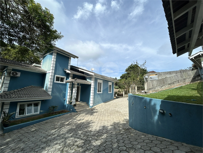 Foto REO1111826