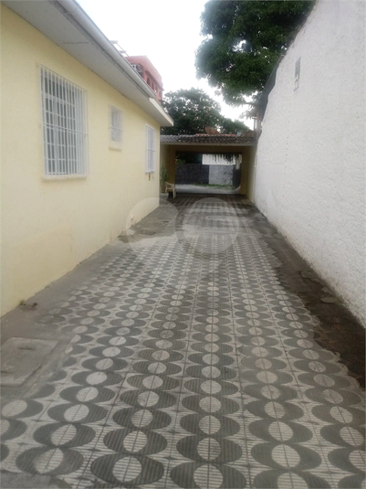 Foto REO1111827