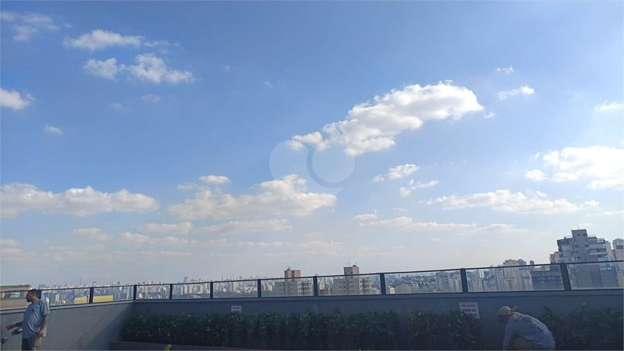 Foto REO1111835