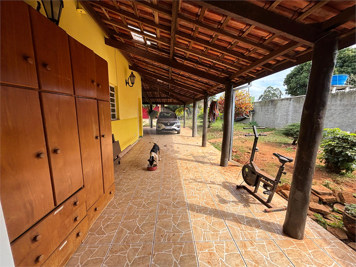 Foto REO1111838