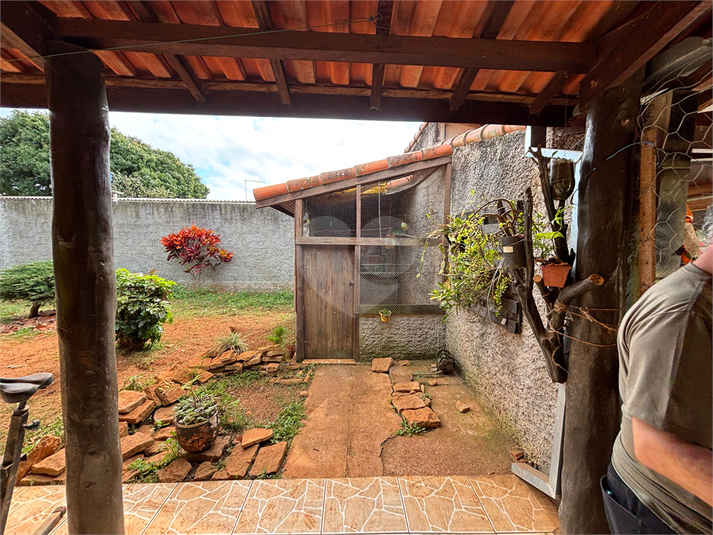 Foto REO1111838