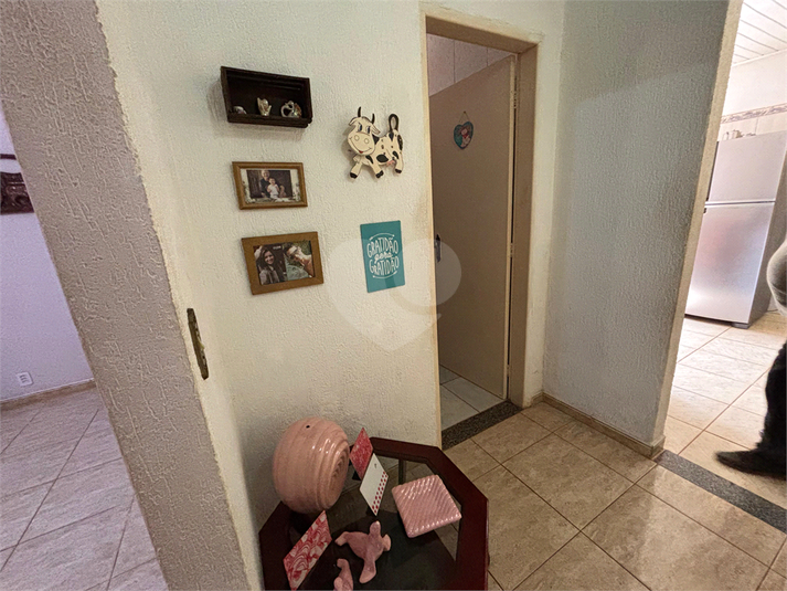 Foto REO1111838