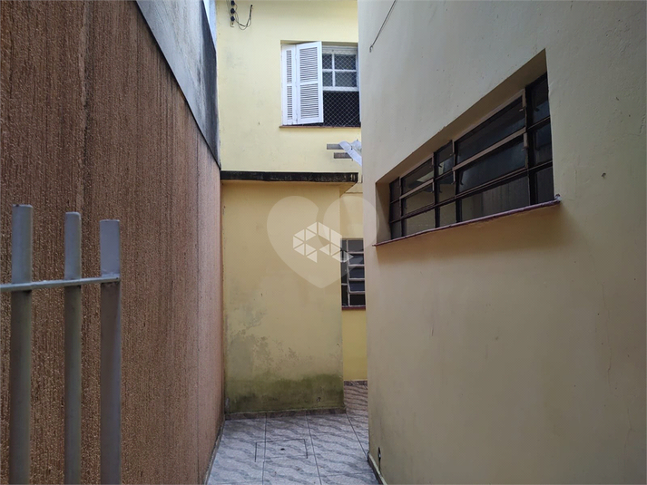 Foto REO1111840