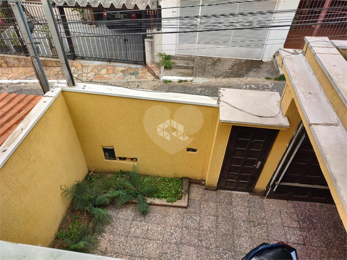 Foto REO1111840