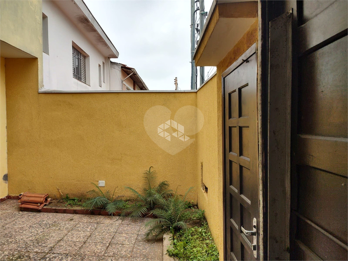 Foto REO1111840