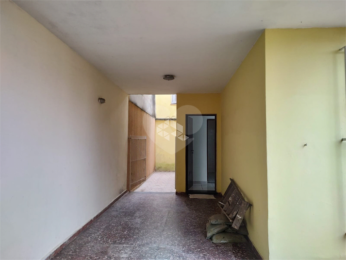 Foto REO1111840