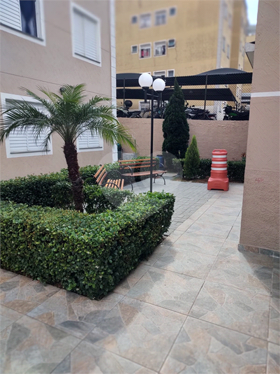 Foto REO1111845