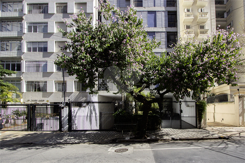 Foto REO1111846