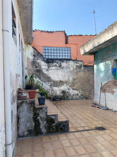 Foto REO1111857