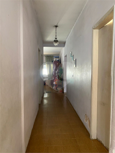 Foto REO1111857