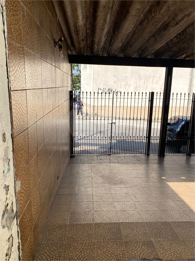 Foto REO1111857