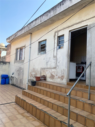 Foto REO1111857