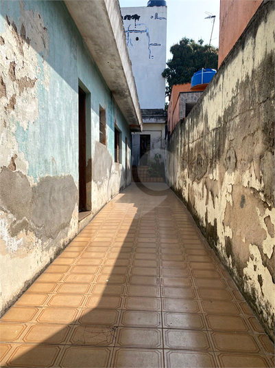 Foto REO1111857