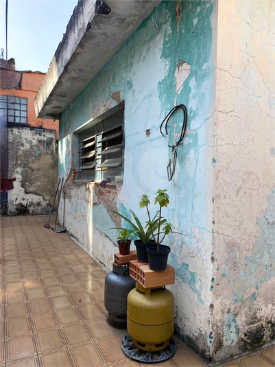 Foto REO1111857
