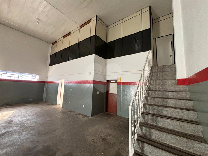 Foto REO1111859