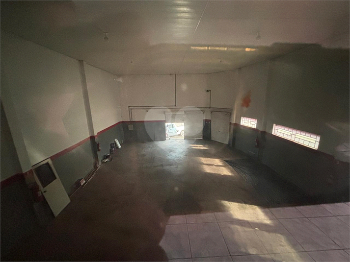 Foto REO1111859
