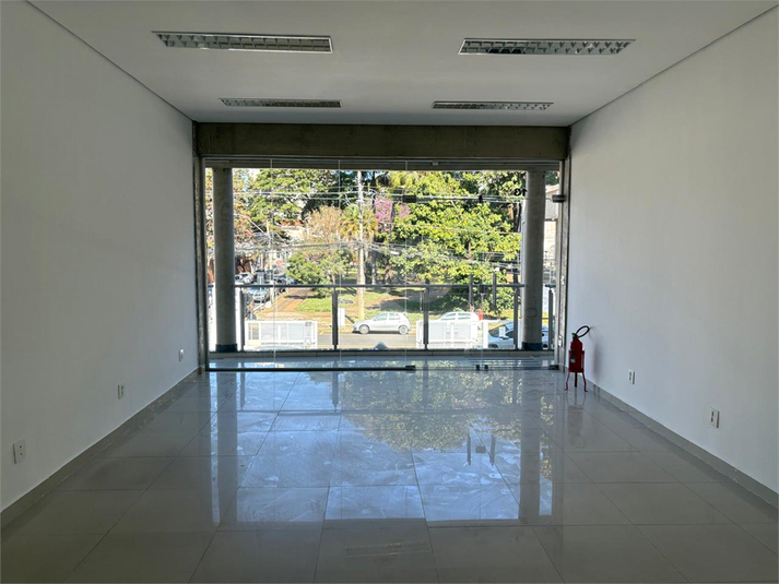 Foto REO1111863