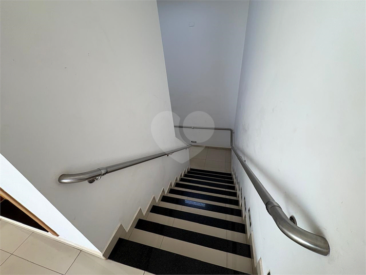 Foto REO1111863