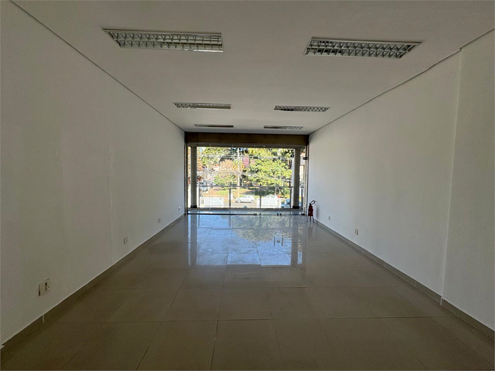 Foto REO1111863