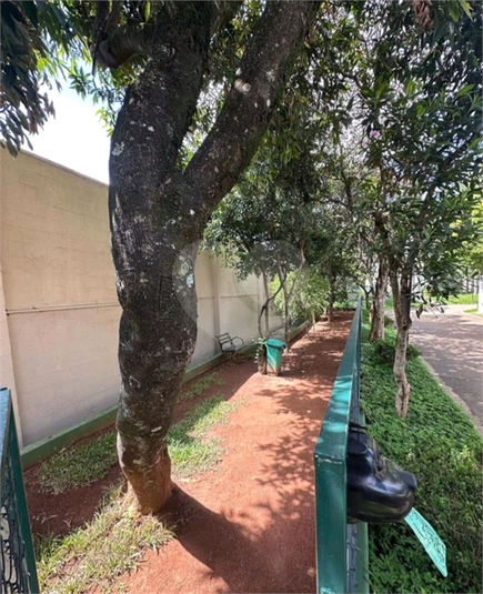 Foto REO1111867