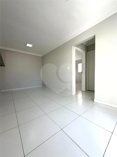 Foto REO1111869