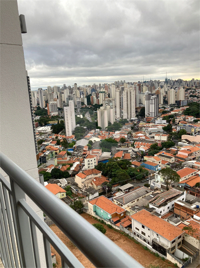 Foto REO1111910