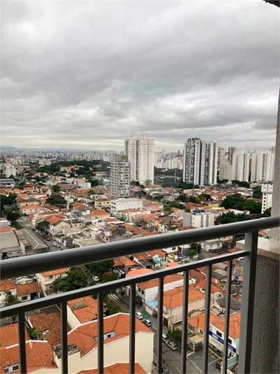 Foto REO1111910