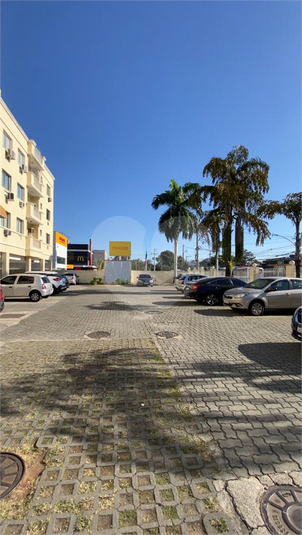 Foto REO1111913