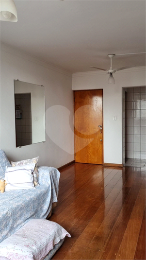 Foto REO1111923