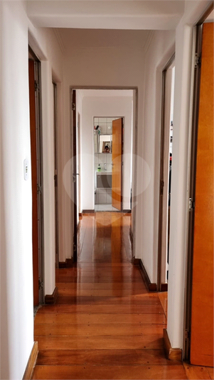 Foto REO1111923