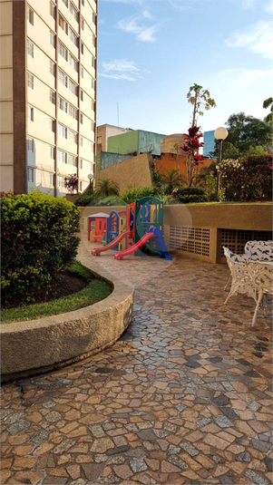 Foto REO1111923