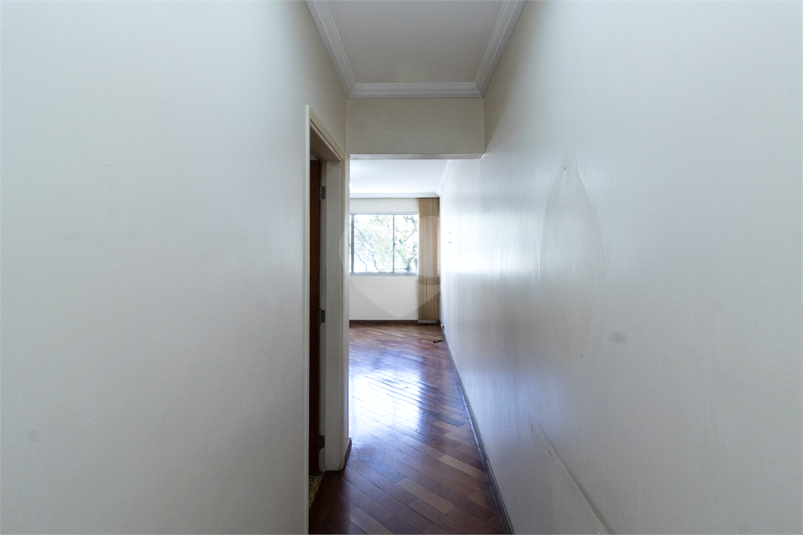 Foto REO1111929