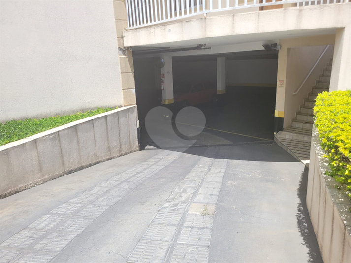 Foto REO1111946