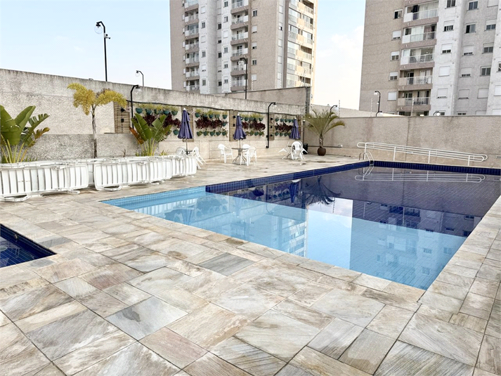 Foto REO1111947