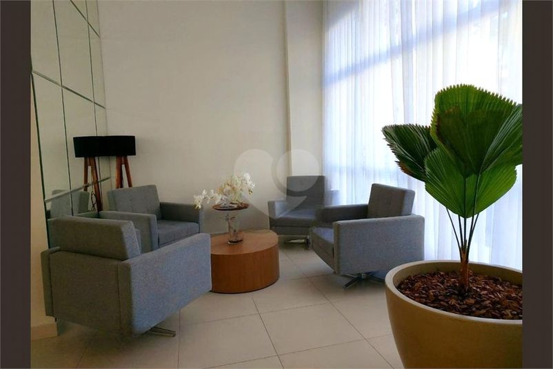Foto REO1111948