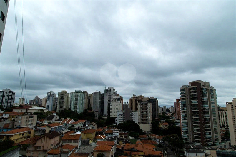 Foto REO1111948