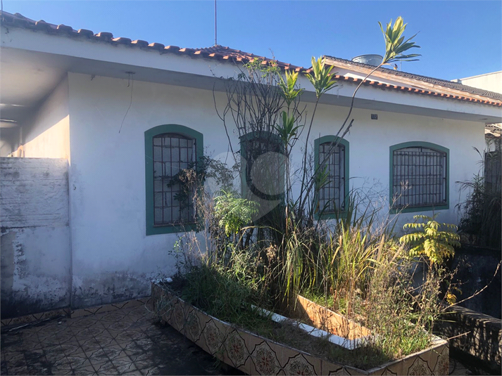 Foto REO1111951