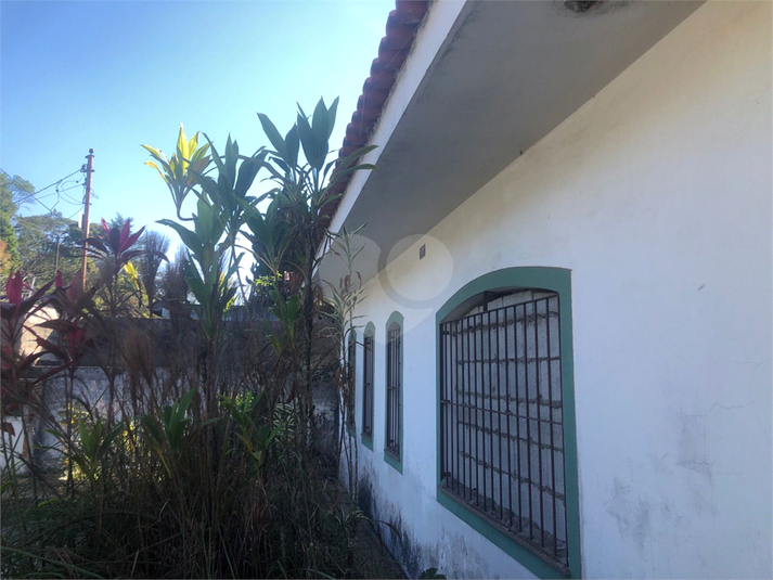 Foto REO1111951