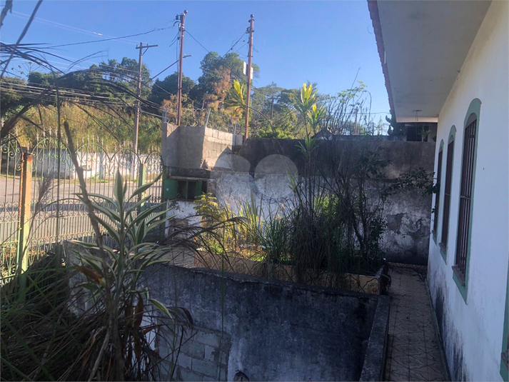 Foto REO1111951