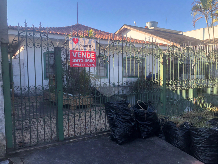 Foto REO1111951