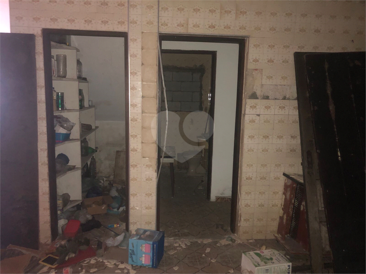 Foto REO1111951