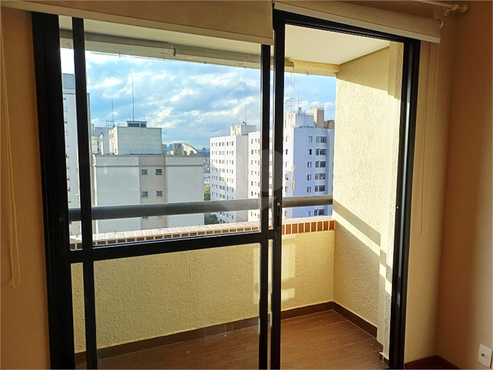 Foto REO1111952