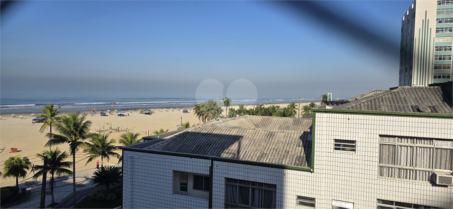 Foto REO1111955