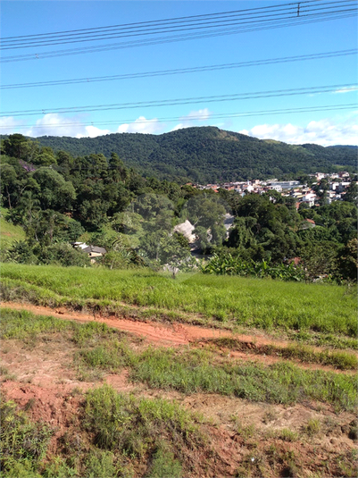 Foto REO1111960