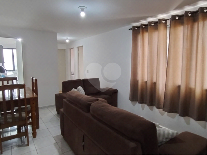 Foto REO1111960