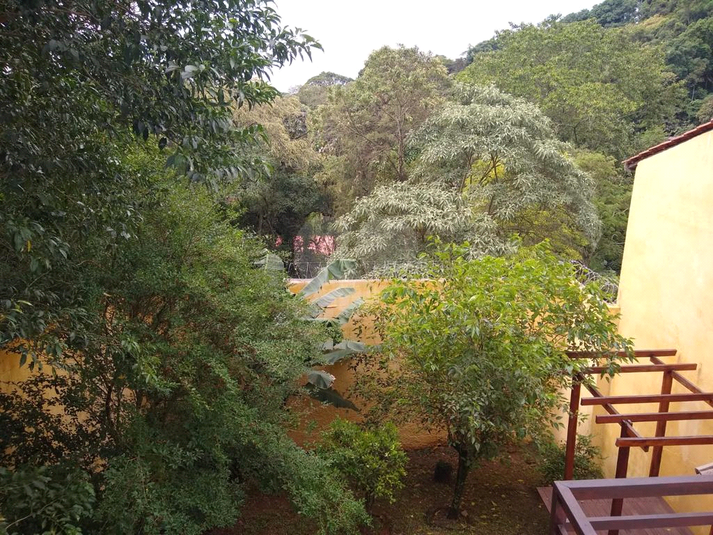 Foto REO1111971