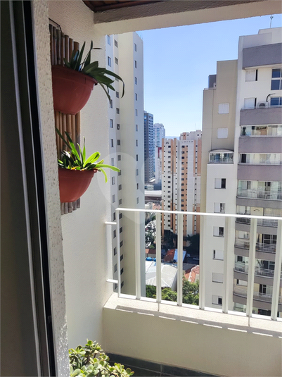 Foto REO1111987
