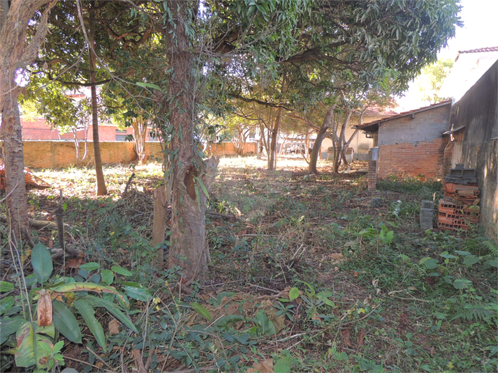 Foto REO1112164